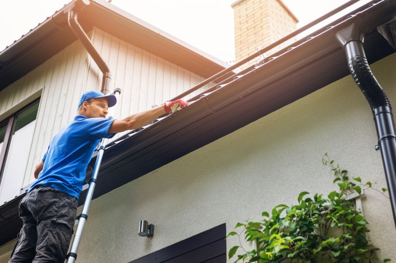 Residential Gutter Inspection